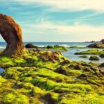 Top 15 địa điểm du lịch Phan Thiết hấp dẫn nhất định phải đến
