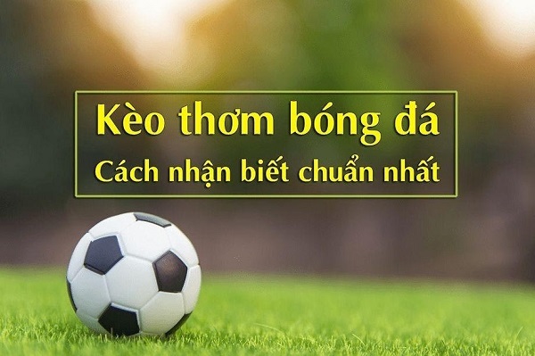 Chia sẻ về cách nhận biết kèo thơm online chuẩn nhất