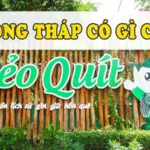 Đồng Tháp có gì chơi? Gợi ý những điểm đến không nên bỏ lỡ