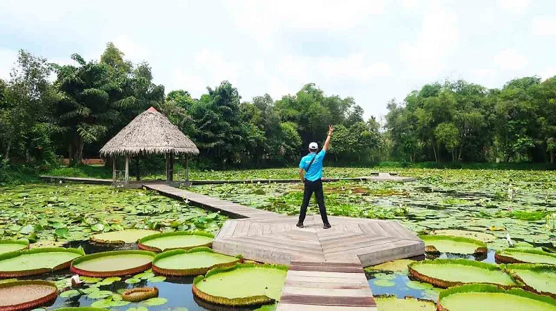 Những trải nghiệm thú vị khi du lịch Đồng Tháp